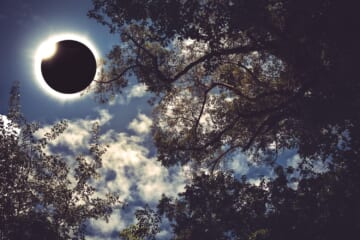 This Is the Best Way to Watch the Solar Eclipse from Home