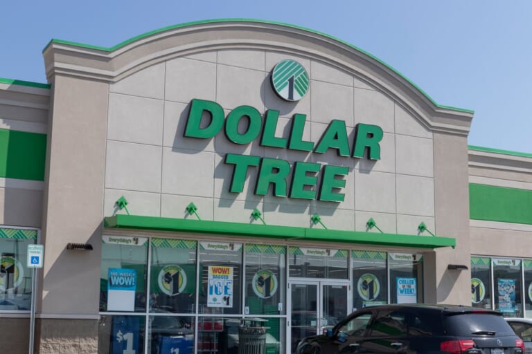 Dollar Tree’s New $1 Finds Are Flying Off Shelves (In Every Pattern!)