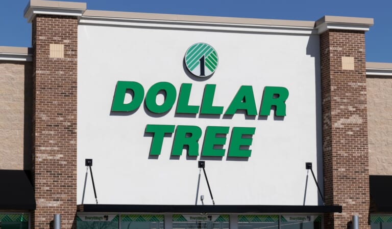 Dollar Tree's "Too Cute" Flower-Shaped Garden Lights Will Fly Off Shelves
