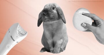 Animal Testing Is (Still) the Beauty Industry's Ugliest Secret