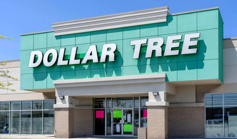 We Gave an Interior Designer $25 — This Is Her Haul from Dollar Tree